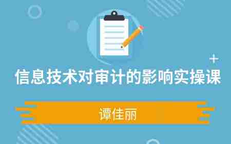 信息技术对审计实操的影响实操课