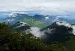 金佛山风景区