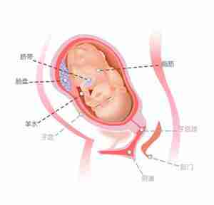 怀孕35周胎儿图