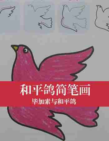 和平鸽简笔画：毕加索与和平鸽