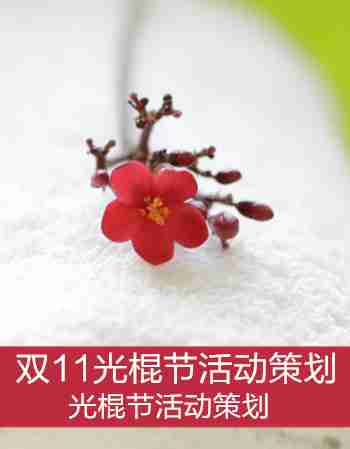 光棍节活动策划：大学双十一光棍节活动策划