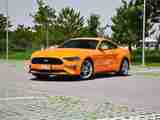 Mustang