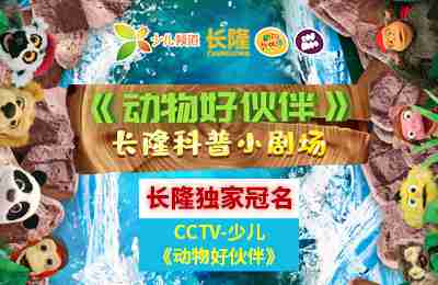 CCTV少儿《动物好伙伴》