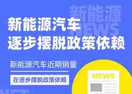 新能源汽车正在逐步摆脱政策依赖「图说」