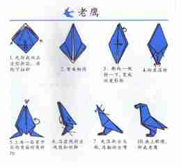 怎么手工折出老鹰 逼真老鹰折纸教程